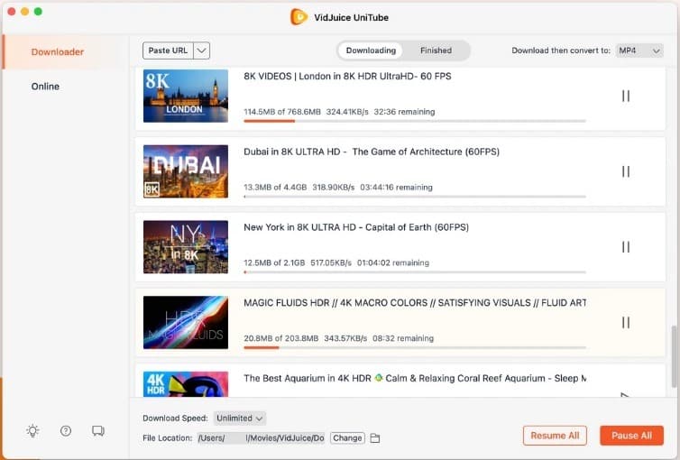VidJuice UniTube Downloader for Windows 11